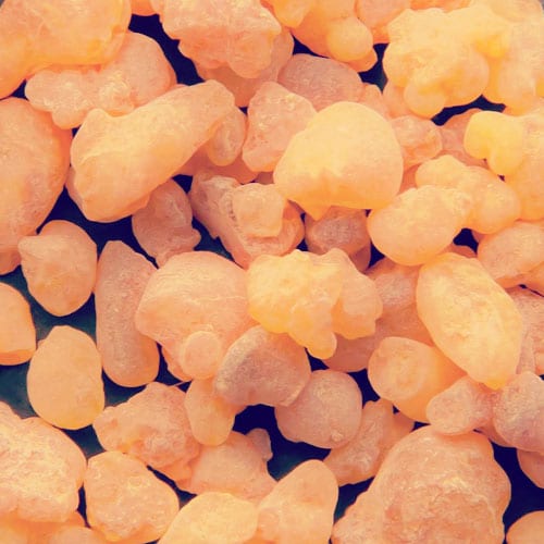 frankincense æterisk olie