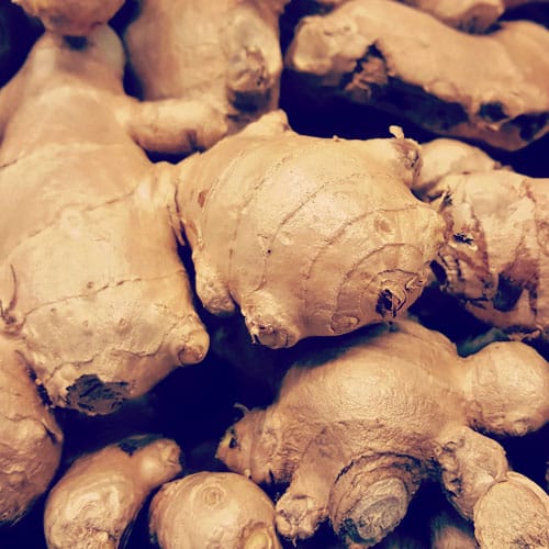 ingefær æterisk olie